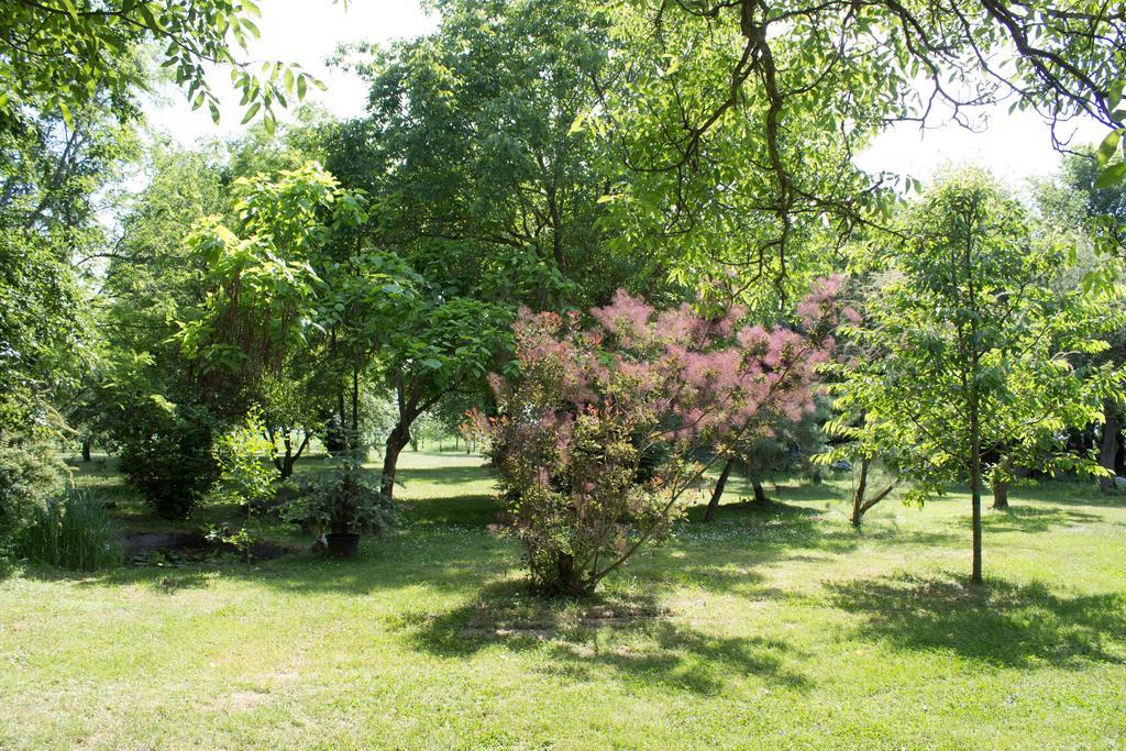 Holiday Home Melinda Cegledpuszta Bagian luar foto
